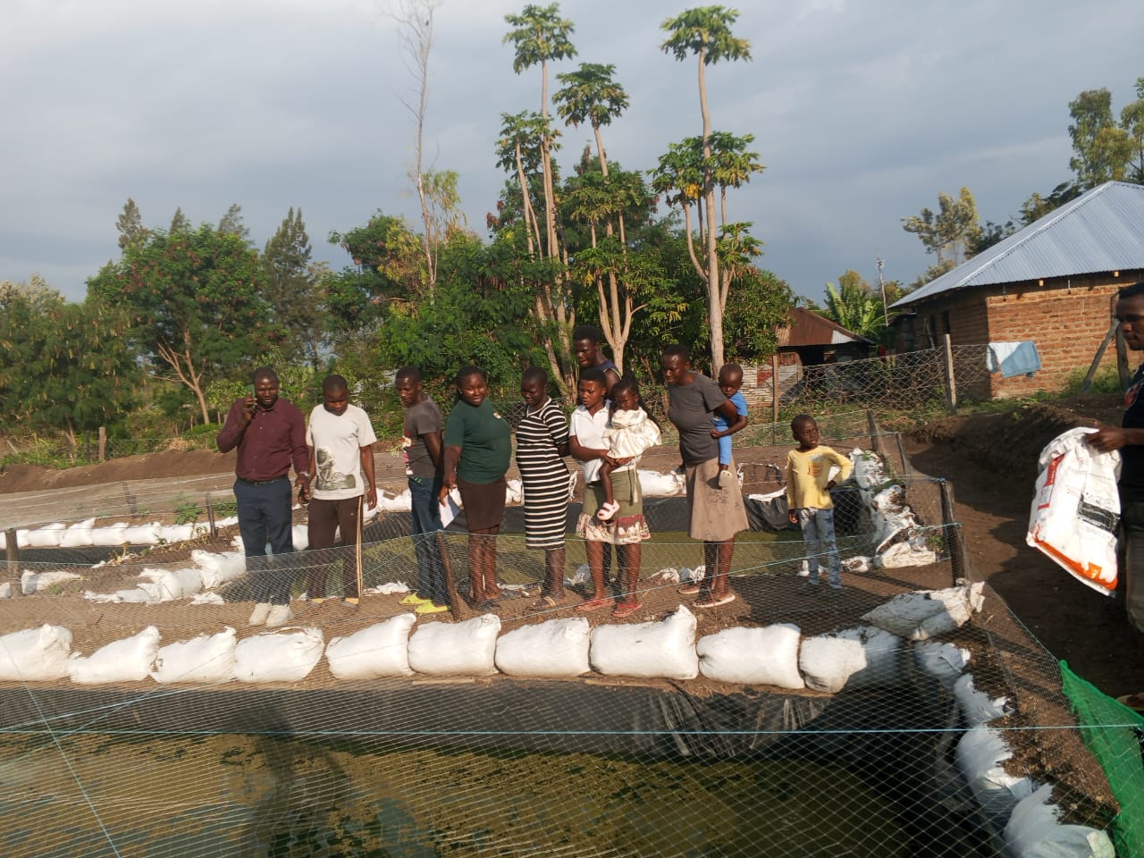 Distribution of high-quality fingerlings to newly trained local farmers